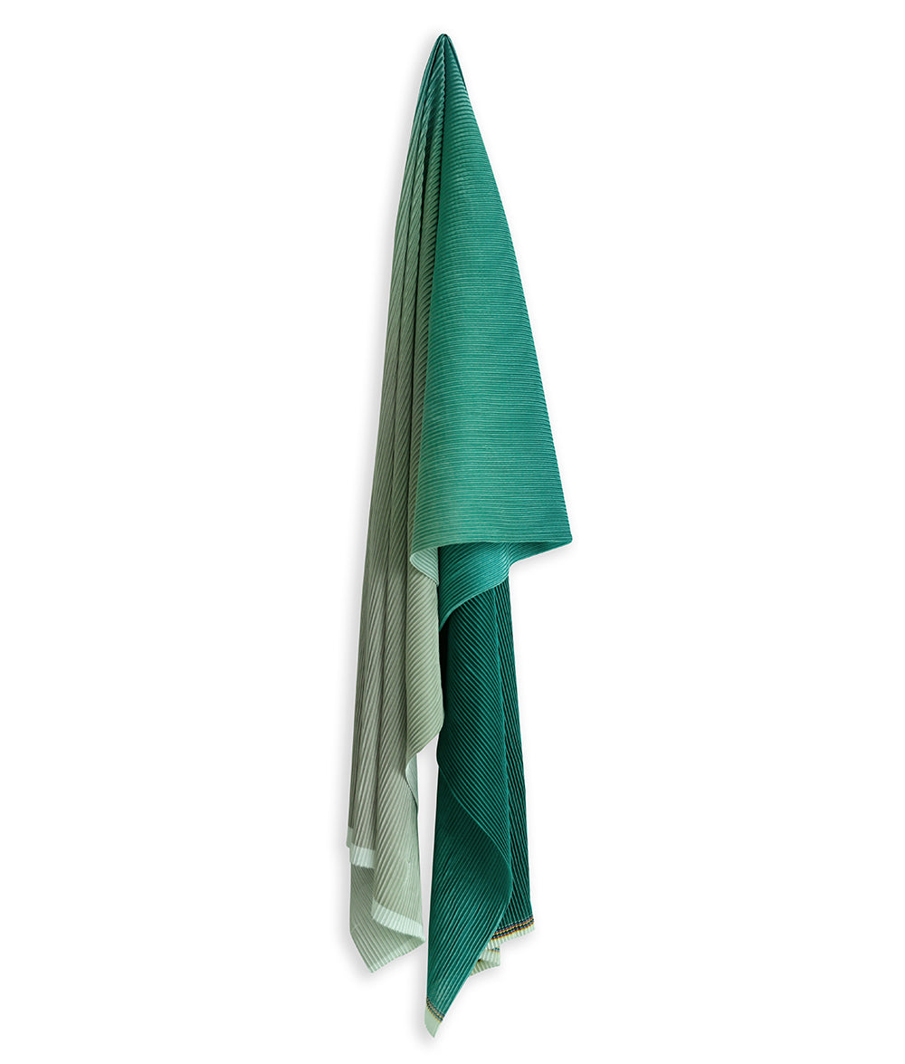 SHADED EVERGREEN