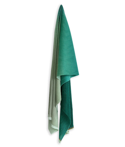 SHADED EVERGREEN