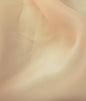 ORZ 3 Organza Fabric