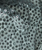 Amelie Sequins Embroidery