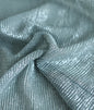 Silver Glitter