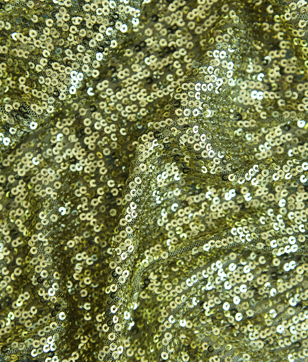 Adelphie Sequins Embroidery Fabric