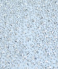Grey Silver