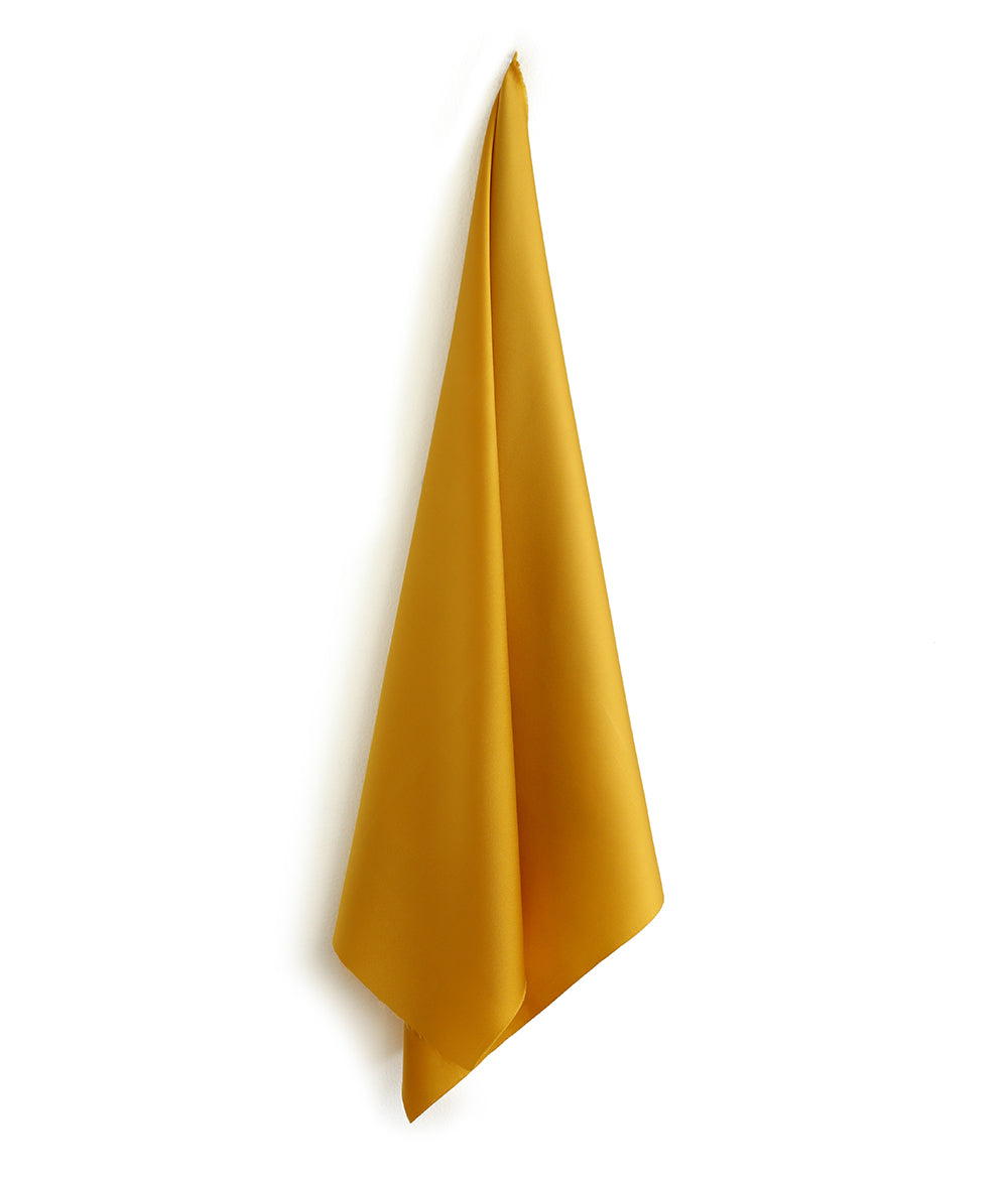 Spicy Mustard