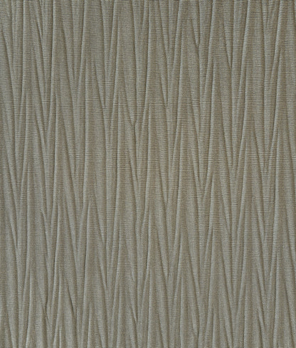 Champagne