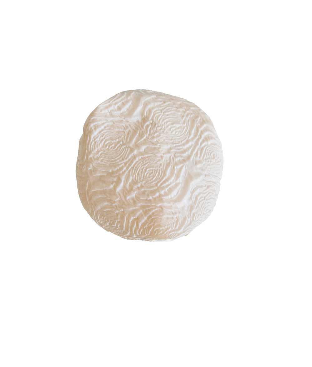 Apricot